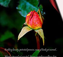 Visual Poetry by J. D. Adsit