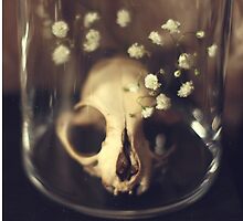 still life by MsDunwich