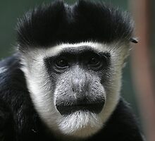 Sad face by Kevin Reynolds
