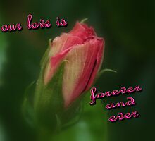 Our Love Is by down23