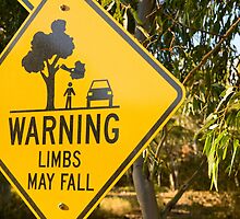 warning limbs may fall by Elli Schweizer