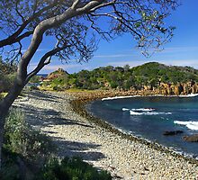 Mimosa Rocks by Darren Stones