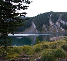 Burnt Fork Beauty by Ann Rodriquez