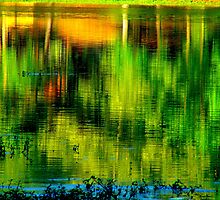 Green Reflection by Ginger Barritt