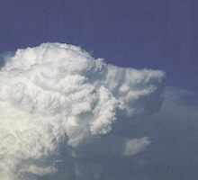 Cloud Dog by ellemaclennan