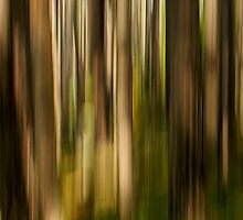 Transformation by Bill Morgenstern