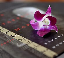 Oriental by Karen E Camilleri