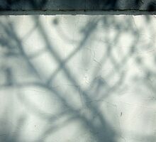 Light and shade by Ricky by SacredHeart