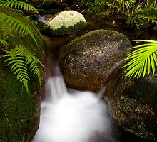 Waterfall by Joshua Rablin