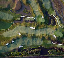 Mystery Landscape by Clare McClelland