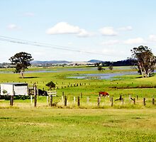 Peace In The Fields by reflector