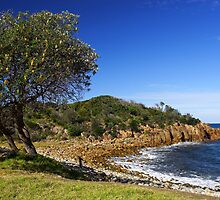 Mimosa Rocks National Park by Darren Stones