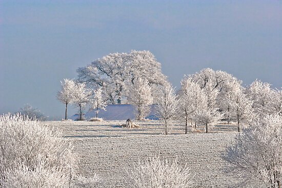 Canada In Winter