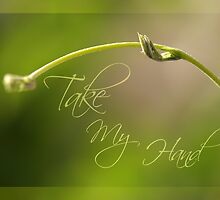 Take My Hand by Freelancer