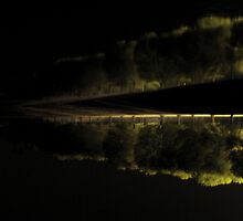 In the most perfect hour of the night, by Priscilla Rodriguez
