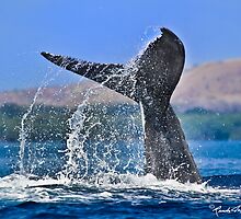 Whale Series #707 by Randy Jay Braun