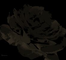 The Rose by StarKatz