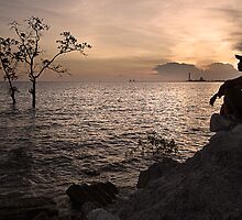 Homesick by Steven Siow
