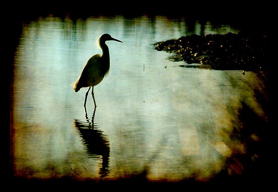 down the bayou