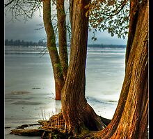We Become One by Zach Schible