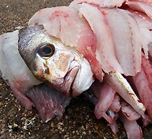 Filet O Fish by Darren Stones