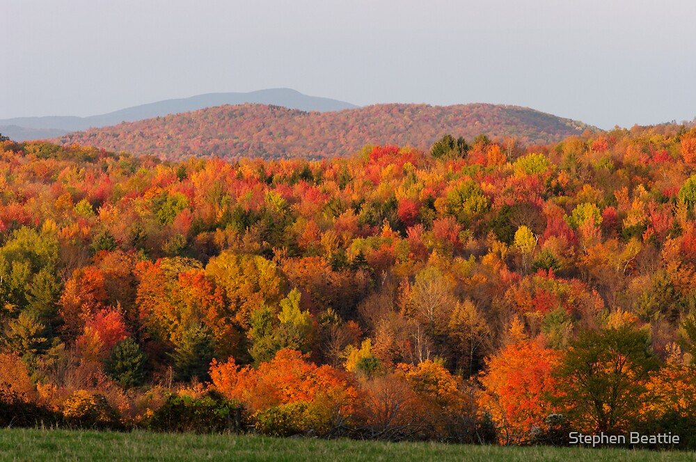 "Peak Foliage Vermont" by Stephen Beattie Redbubble