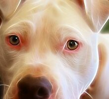 The Soul by Beverly Lussier