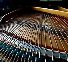 Strings by Elliott Walker