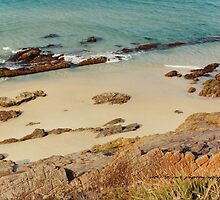 Pebbly Beach © Vicki Ferrari Photography by Vicki Ferrari