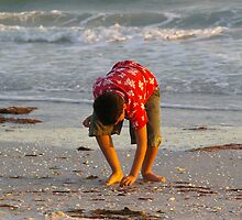 Sanibel Stoop by Karen Checca