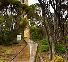 Ben Boyd National Park by Darren Stones