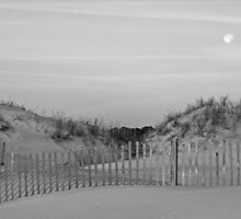 Dunes and Moon by g richard anderson