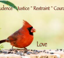 The Seven Cardinal Virtues by Bonnie T. Barry