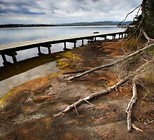 Merimbula Boardwalk by Darren Stones