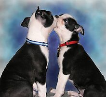 Dogs and Cats by godmommy5