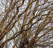 Reaching by peggyswfl