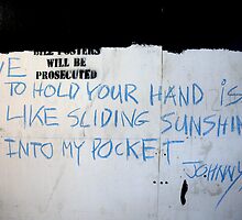 Johnny (street poet) by Robert Knapman