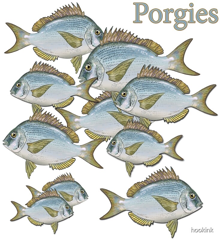 Pories Lots Of Them No Patterns By Hookink Redbubble