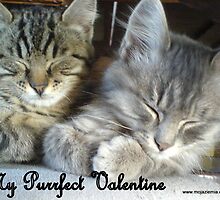 My Purrfect Valentine by AbsintheFairy