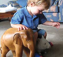 These animals are made for riding! by Keith Richardson