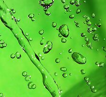 Mojito Quench by Stephanie Ogg