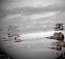 Fleets by S McKoy