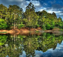 Marysville - You Are In Our Thoughts - Victorian BushFire Appeal by Philip Johnson