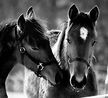 The Love Affair by Serge Holoduke