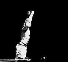 John Cena Wins by Dawn Palmerley