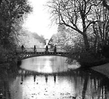 The shadow bridge by julie08