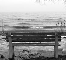Lonely. by Paul Rees-Jones