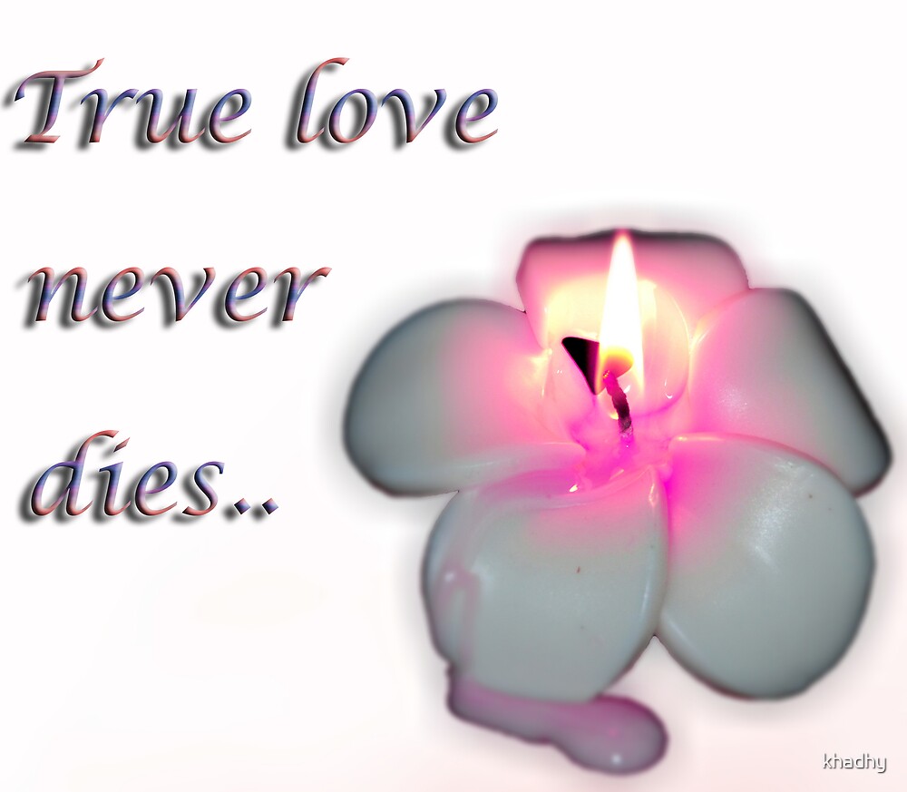 download true love is never die