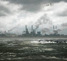 ship to shore by paul mongan