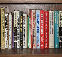 Bookshelf by Jenny Brice